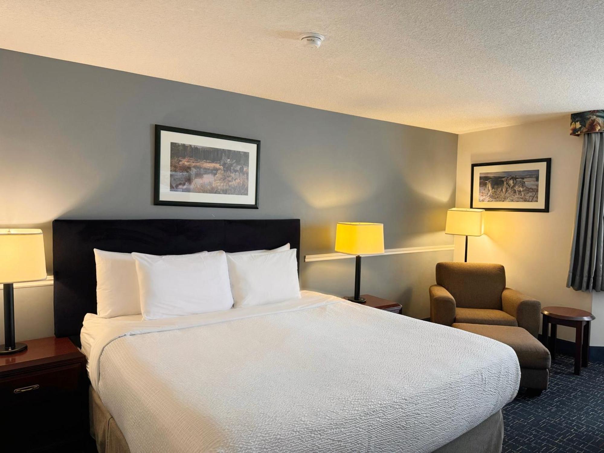 Hotel Divya Sutra Plaza And Conference Centre Calgary Airport Esterno foto